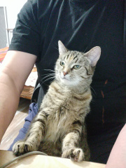 IMG-20210125-WA0008